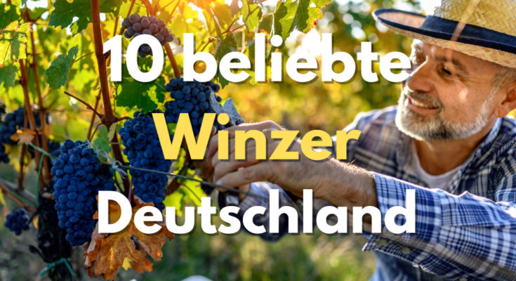 10 beliebte Winzer Deutschland