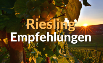 Riesling Empfehlungen