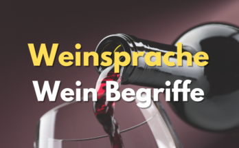 Weinsprache Weinbegriffe