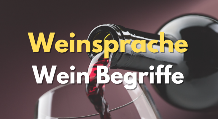 Weinsprache Weinbegriffe