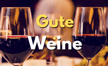 Gute Weine Tipps