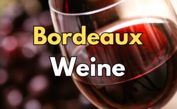Bordeaux Weine Informationen