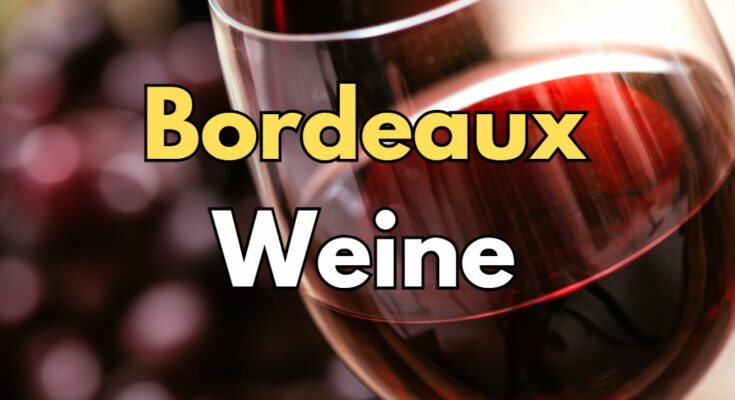 Bordeaux Weine Informationen